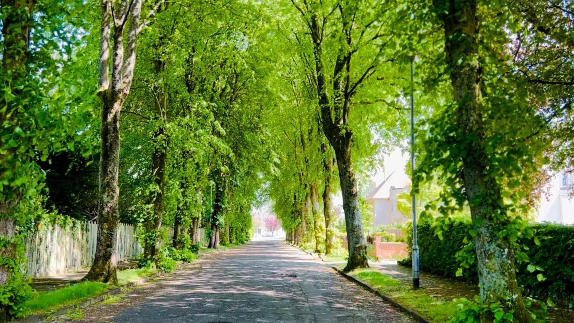 Longbank Luxury Lets Villa Ayr Kültér fotó